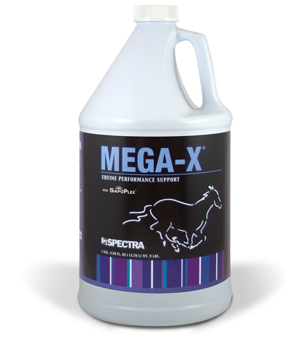 Megaxgal
