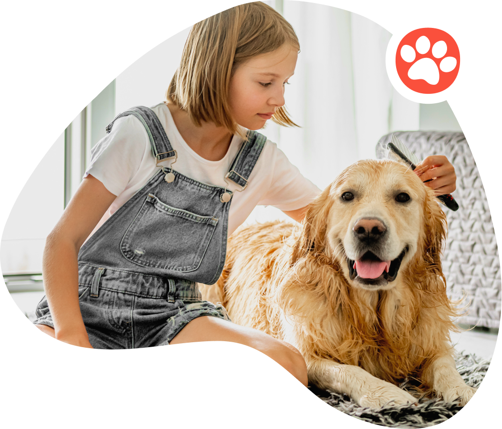 Grooming & Coat Care