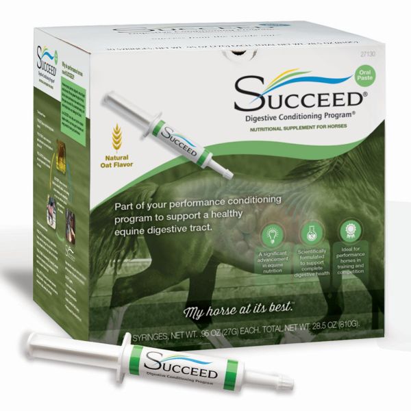 Succeedpastegreenbox